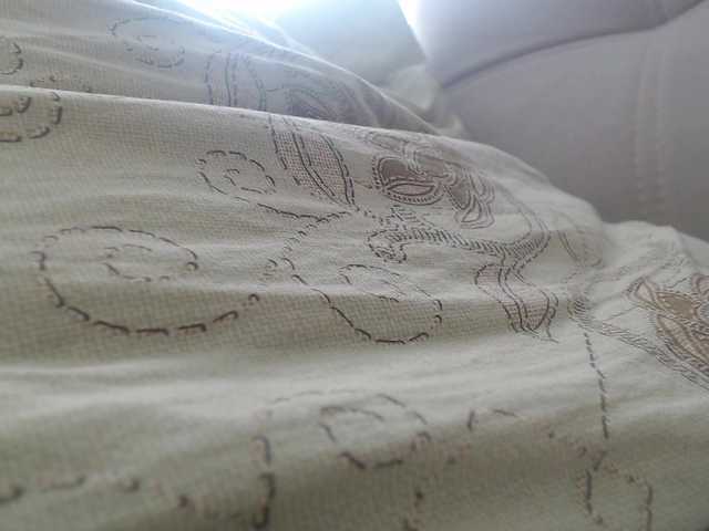 pizzahubb's BongaCams show and profile