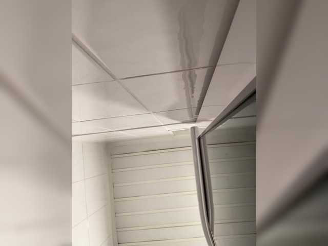 pizzahubb's BongaCams show and profile