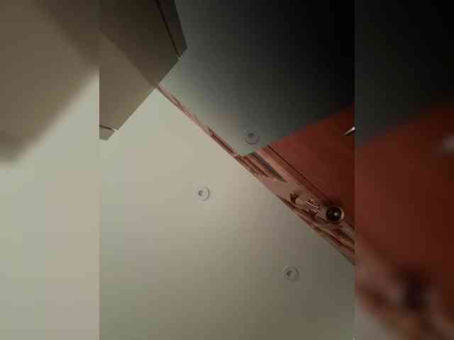 pizzahott webcam
