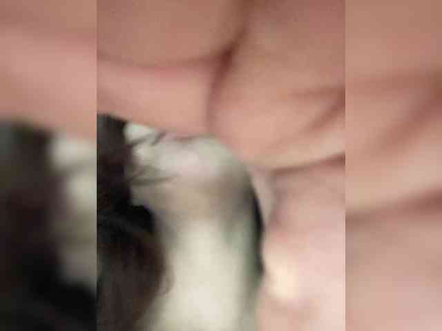 pizzahott webcam