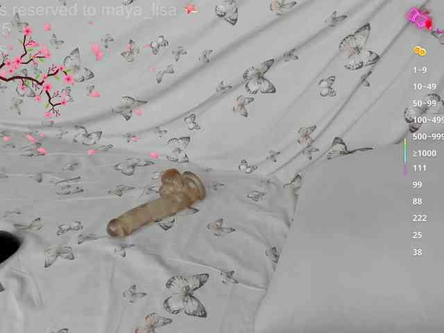 moonaray webcam