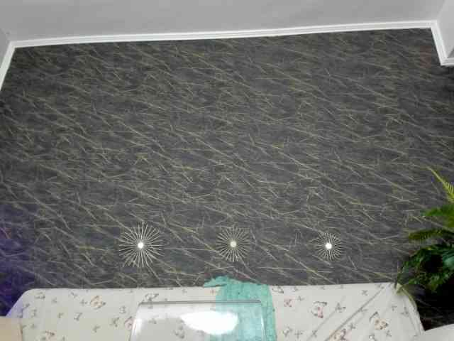 moonaray webcam