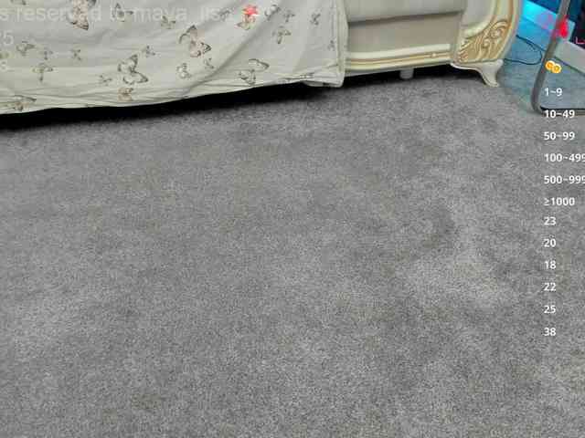 Maya_Lisa webcam