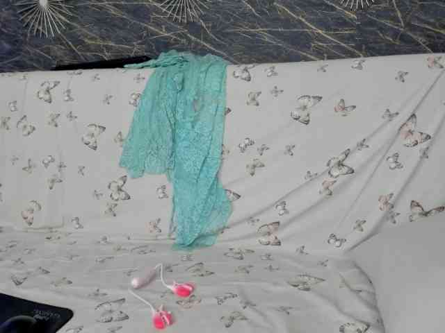 moonaray webcam