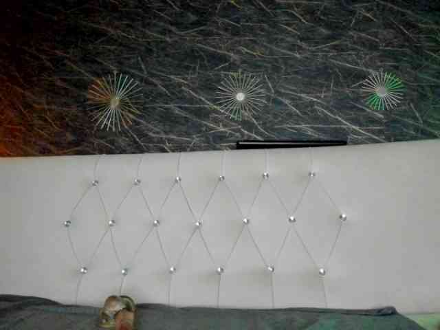 moonaray webcam