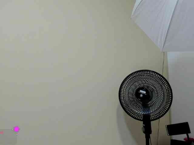 DulceGiraldo Live Webcam on BongaCams