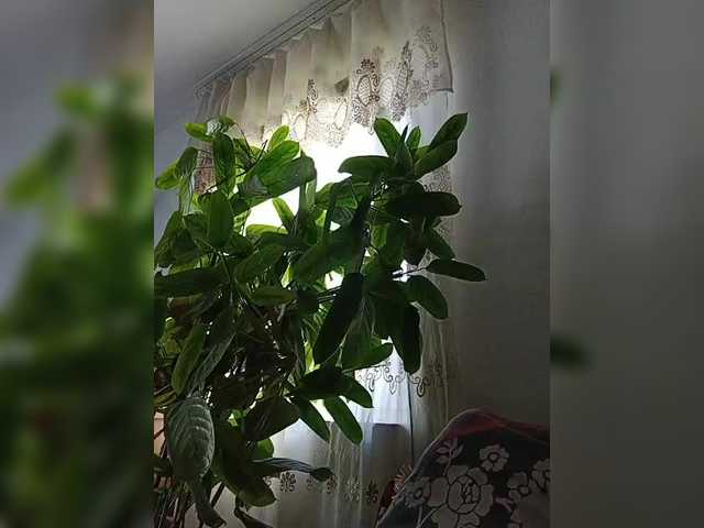 DANYY-0-1