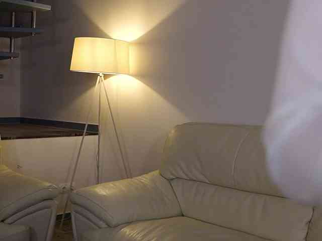 DiamondLily DiamondLily