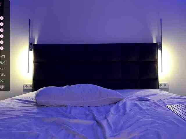 exlar webcam