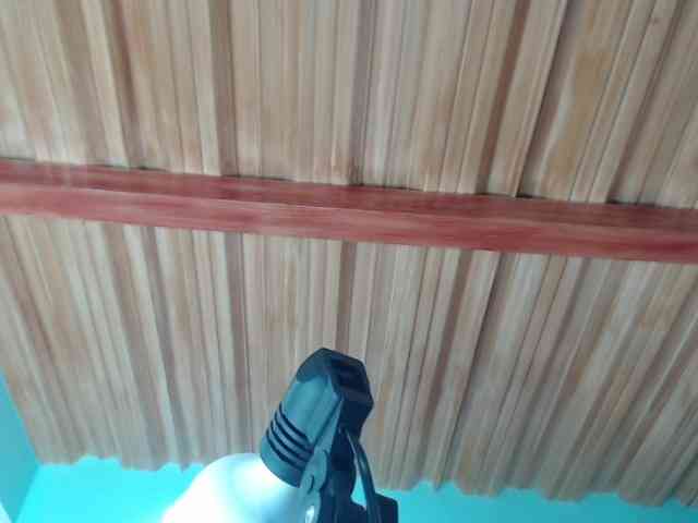 alejhandramora webcam