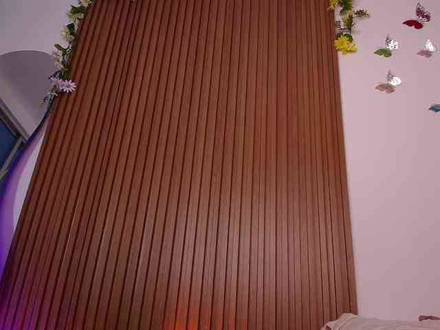 Anhika webcam