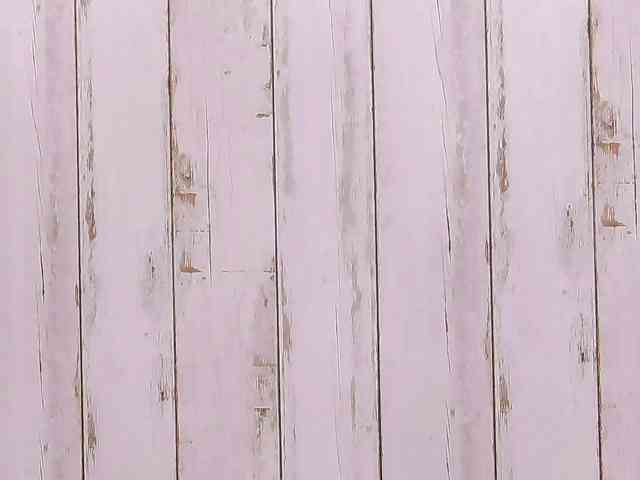 SweetAnisia webcam