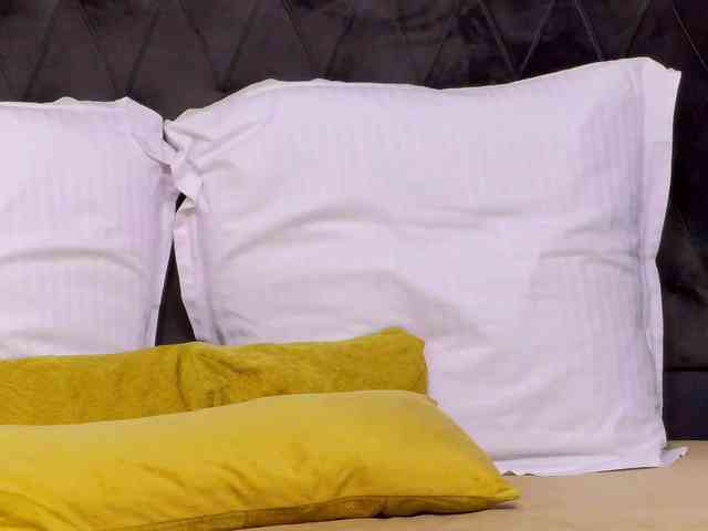 SweetAnisia webcam