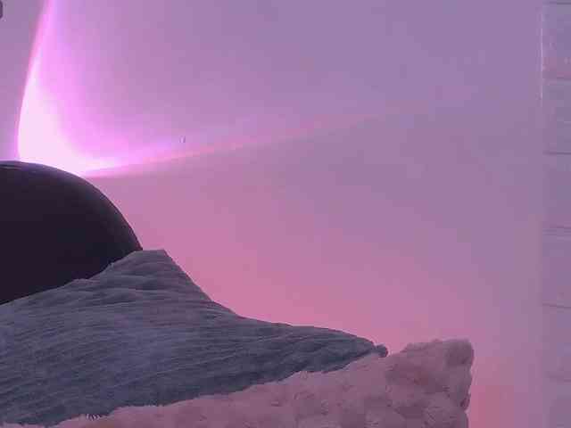 ArielBlossom webcam