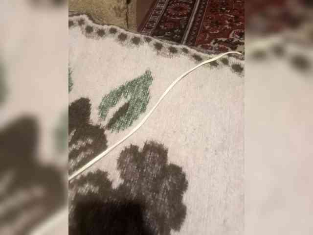 Sorry66661 Sorry66661