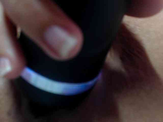 AngelicaBlue AngelicaBlue