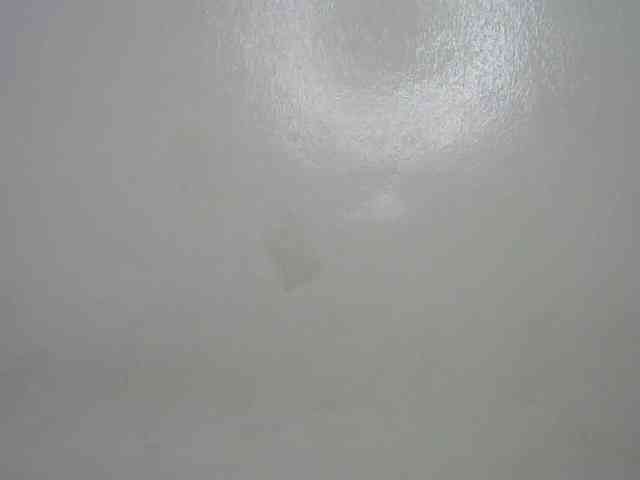Miss-riri webcam