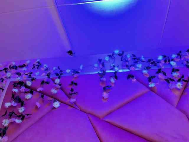 VictoriaRossy bongacams