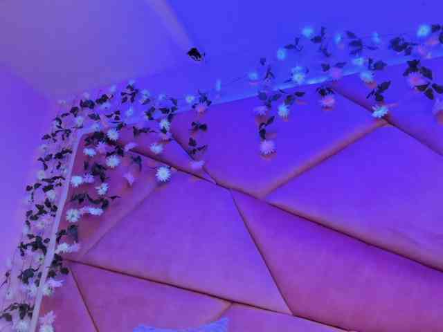 VictoriaRossy webcam