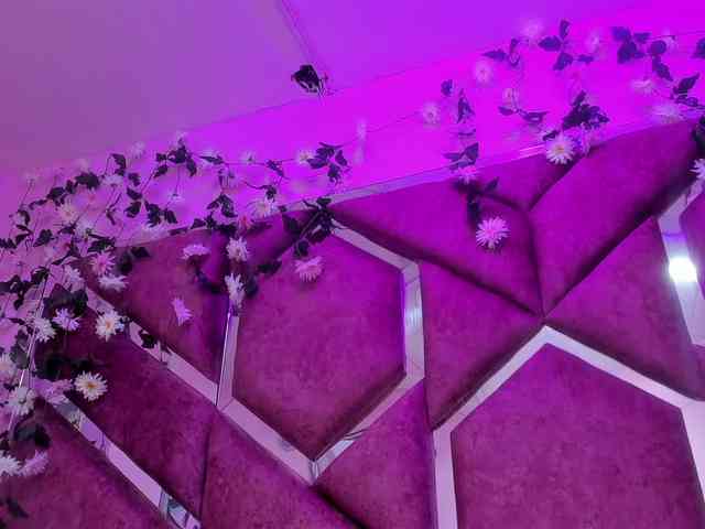 VictoriaRossy webcam