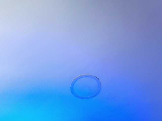 DakotaRobbins's BongaCams show and profile