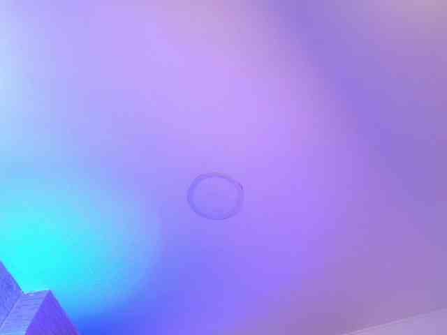 DakotaRobbins webcam