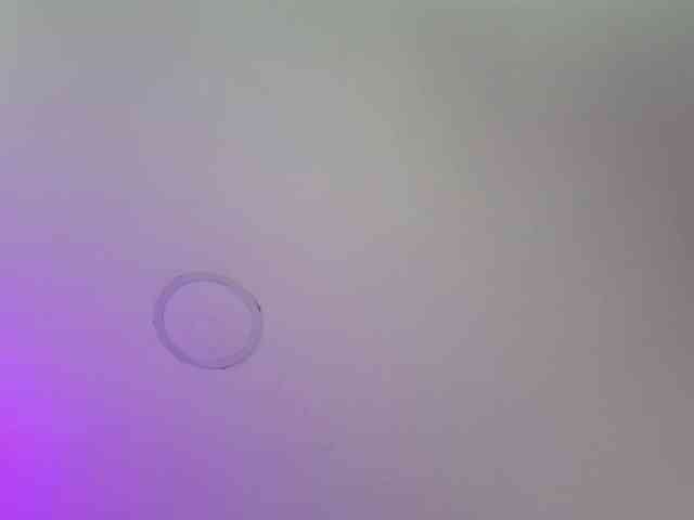 DakotaRobbins webcam