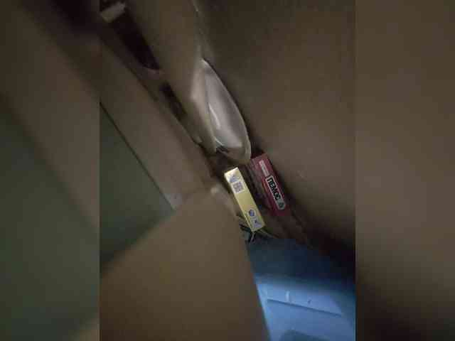 2024Misha2024 2024Misha2024