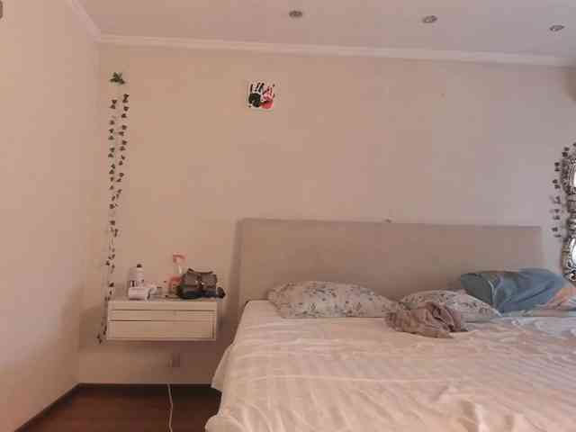 Velvetsky webcam
