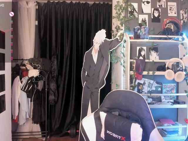 Velvetsky webcam