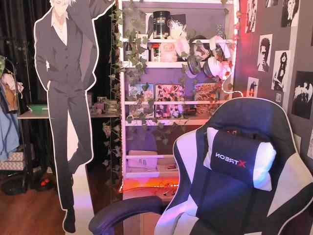 Velvetsky webcam