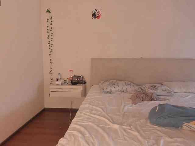 Velvetsky webcam