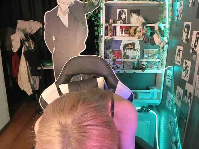 Velvetsky webcam