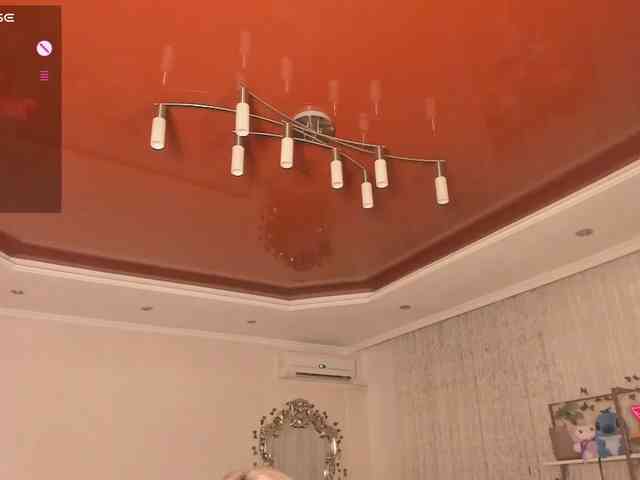 Velvetsky webcam