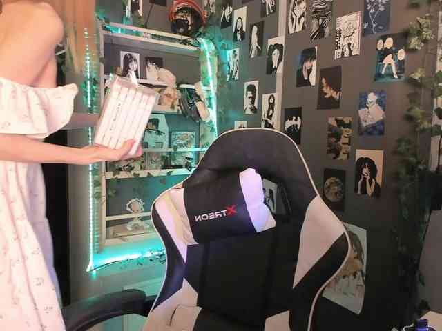 Velvetsky webcam