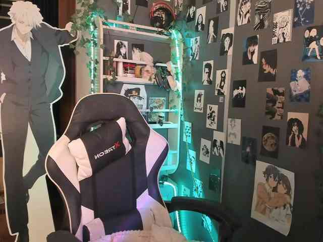 Velvetsky webcam