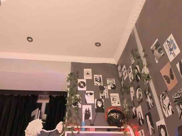 Velvetsky webcam