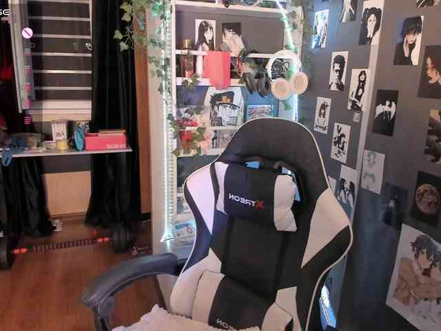 Velvetsky webcam