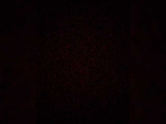 Patolog's BongaCams show and profile