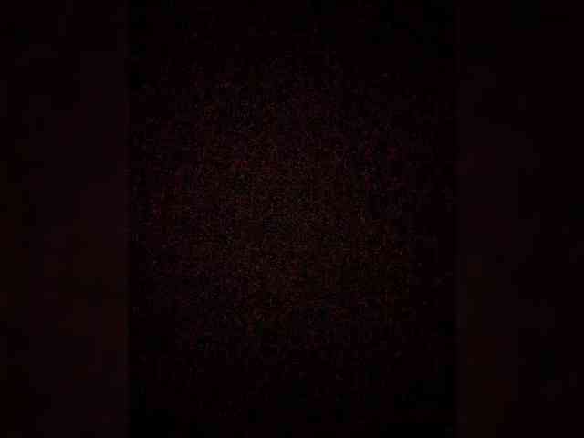 Merry_Kitties webcam