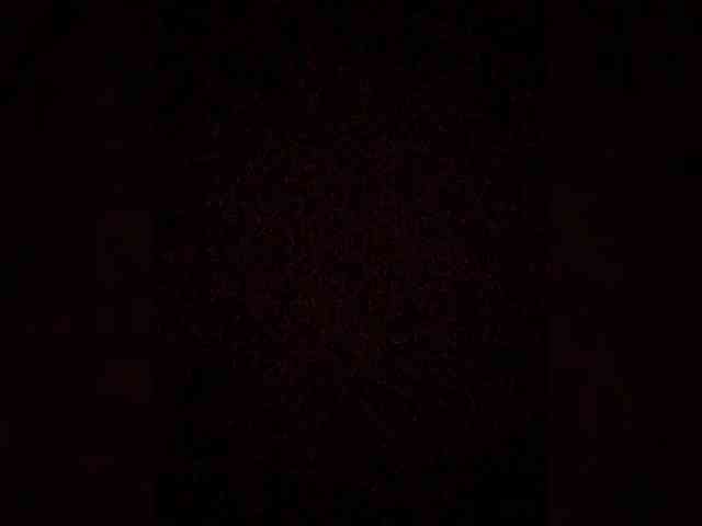 Merry_Kitties webcam