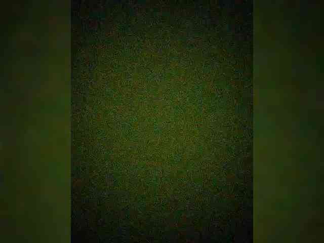 Merry_Kitties webcam