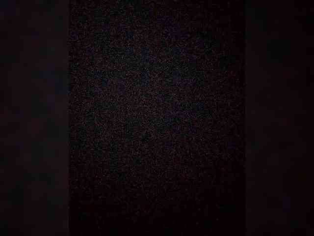 Merry_Kitties webcam