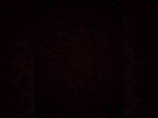 Merry_Kitties webcam