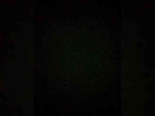 Merry_Kitties webcam