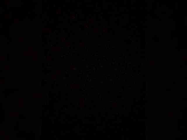 Merry_Kitties webcam