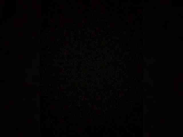 Merry_Kitties webcam