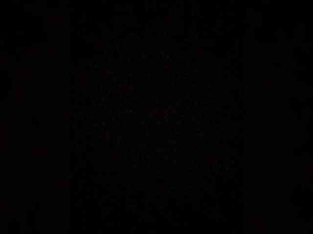 Merry_Kitties webcam