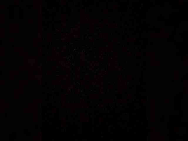 Merry_Kitties webcam