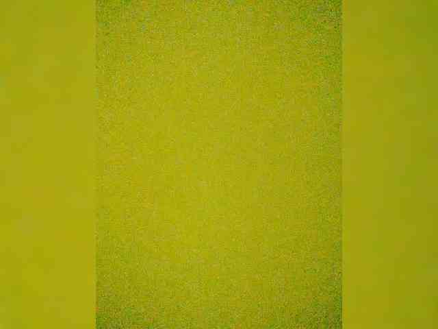 Merry_Kitties webcam